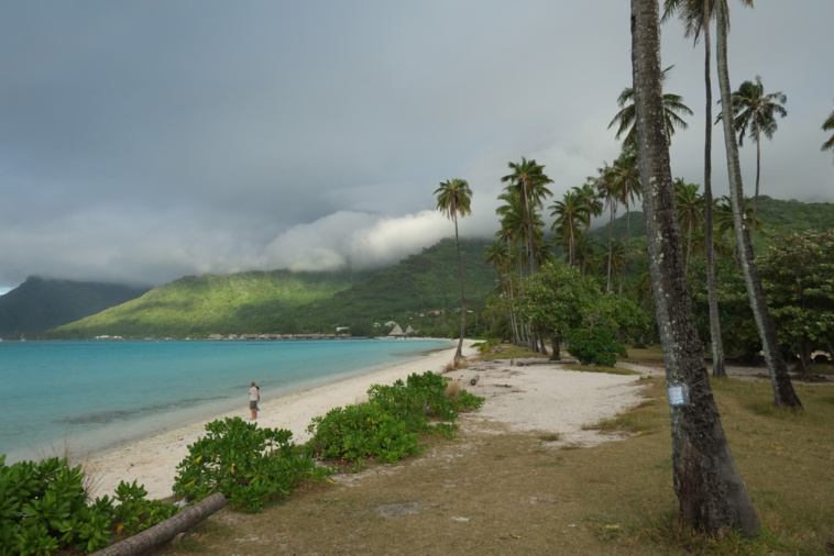 Plage de Temae. Crédit photo : Greg Boissy.