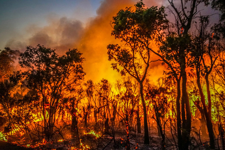 Crédit Sean BLOCKSIDGE / WESTERN AUSTRALIA DEPARTMENT OF FIRE AND EMERGENCY SERVICES / AFP