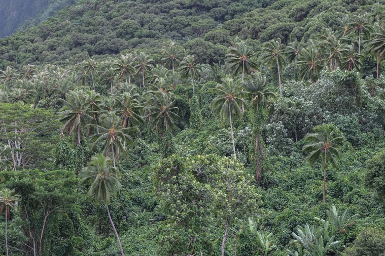 Biodiversité : l'OFB lance son appel à projets