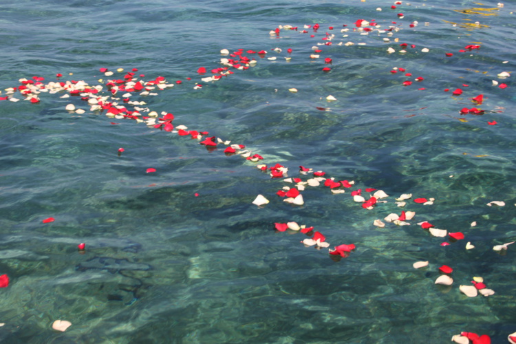 Tahiti rend hommage au navigateur disparu Laurent Bourgnon