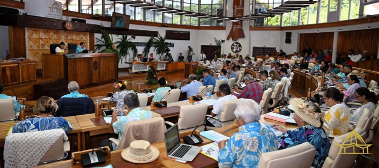 Les propos tenus ce vendredi par l'élue Tavini Sylvana Tiatoa ont provoqué une vive réaction de la part de l'ordre des médecins de Polynésie. Crédit photo : Assemblée de Polynésie.