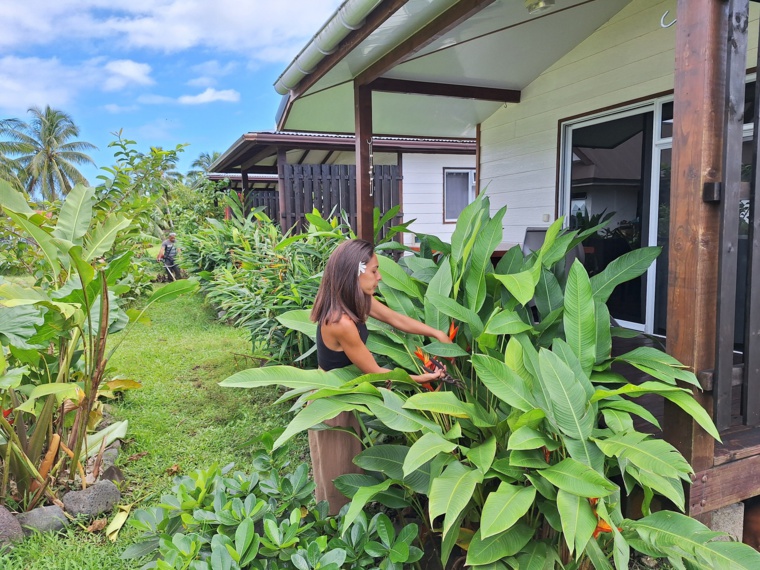 Chez Angie Pambrun, les travaux de rénovation des bungalows sont terminés : place au jardin !