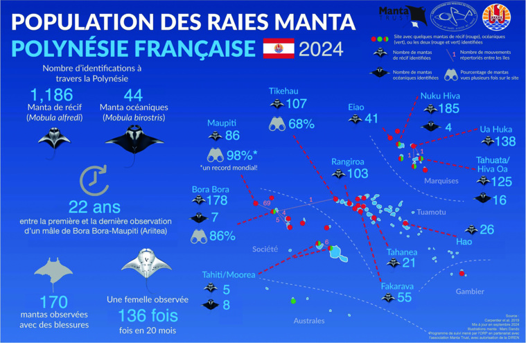 ​La raie manta à l’honneur