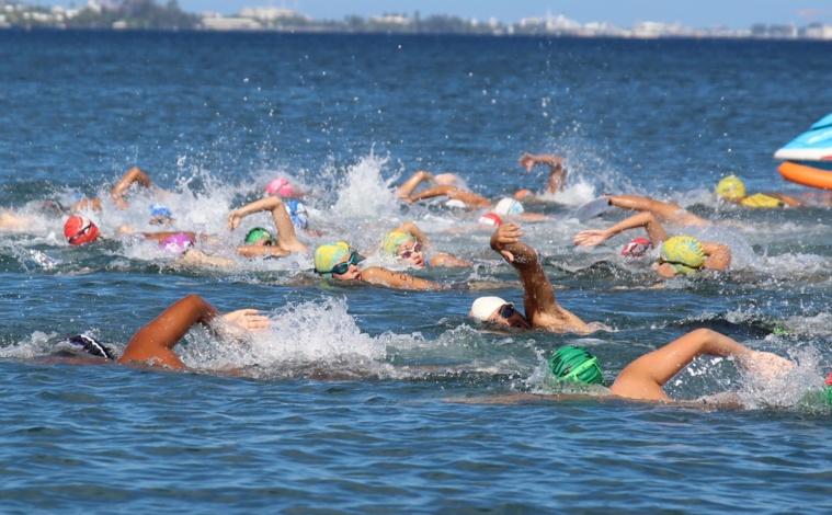 Près de 80 nageurs, toutes courses confondues, ont participé au premier rendez-vous 2024 en eau libre.