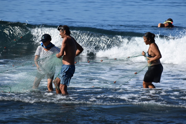 Travail d’équipe au milieu des vagues (Crédit : Anne-Charlotte Lehartel).