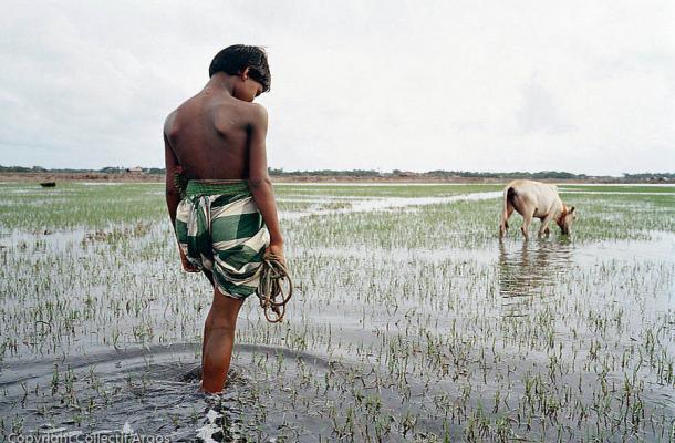 Réfugiés environnementaux : la commission néo-zélandaise des droits humains demande un accroissement des quotas