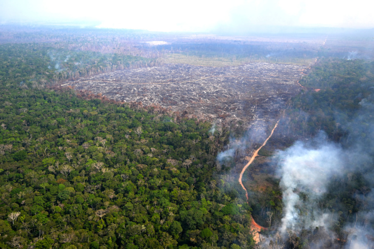 Pascal POCHARD-CASABIANCA / AFP