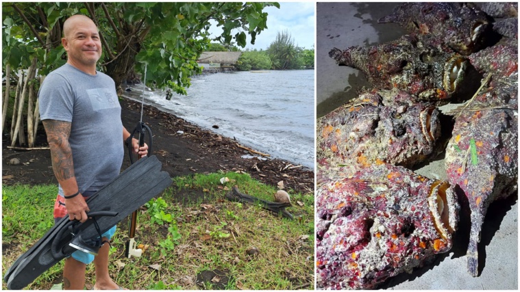 À Mataiea comme ailleurs, Yannis Garbutt reste sur ses gardes. En l’espace de deux jours, père et fils ont capturé 12 nohu, dont plusieurs gros spécimens (Crédit photos : Anne-Charlotte Lehartel/Yannis Garbutt).