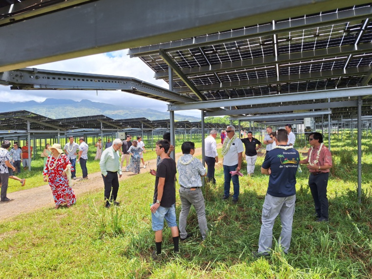 Proches et partenaires ont visité l’exploitation photovoltaïque et agricole (Crédit : Anne-Charlotte Lehartel).