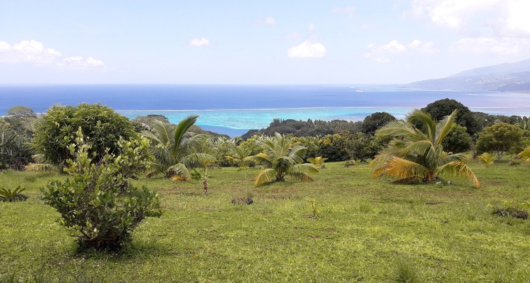 Vue depuis les hauteurs de Puunui, à Toahotu (Crédit : archive).