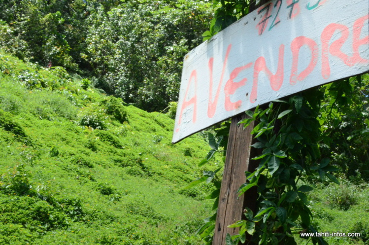 Foncier : une mission sénatoriale attendue en Polynésie