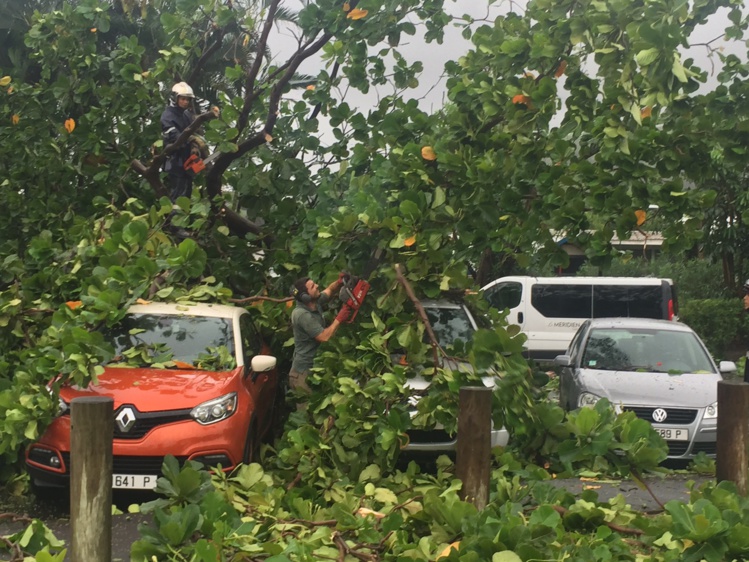 Chutes de pierre, arbres couchés sur la chaussée, les pluies provoquent des dégâts