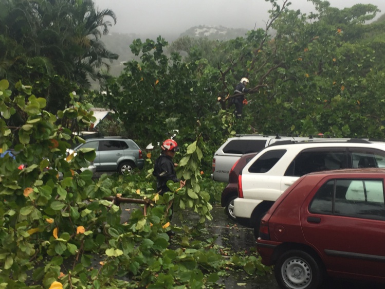 Chutes de pierre, arbres couchés sur la chaussée, les pluies provoquent des dégâts