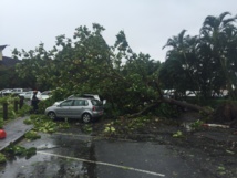 Chutes d'arbres à Papeete, une maison détruite à Taunoa (Diaporama)
