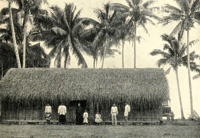 Grand fare niau à Papara. 1905. Photo Coulon.