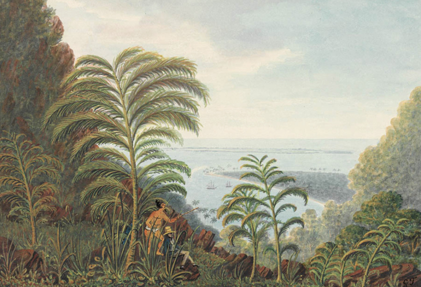 La baie de Matavai vu du col du Tahara'a en 1792. Aquarelle de George Tobin