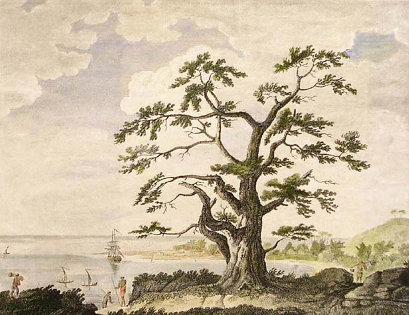 Gravure de Sydney Parkinson “View of Matavai Bay, Tahiti.” London. c. 1784.