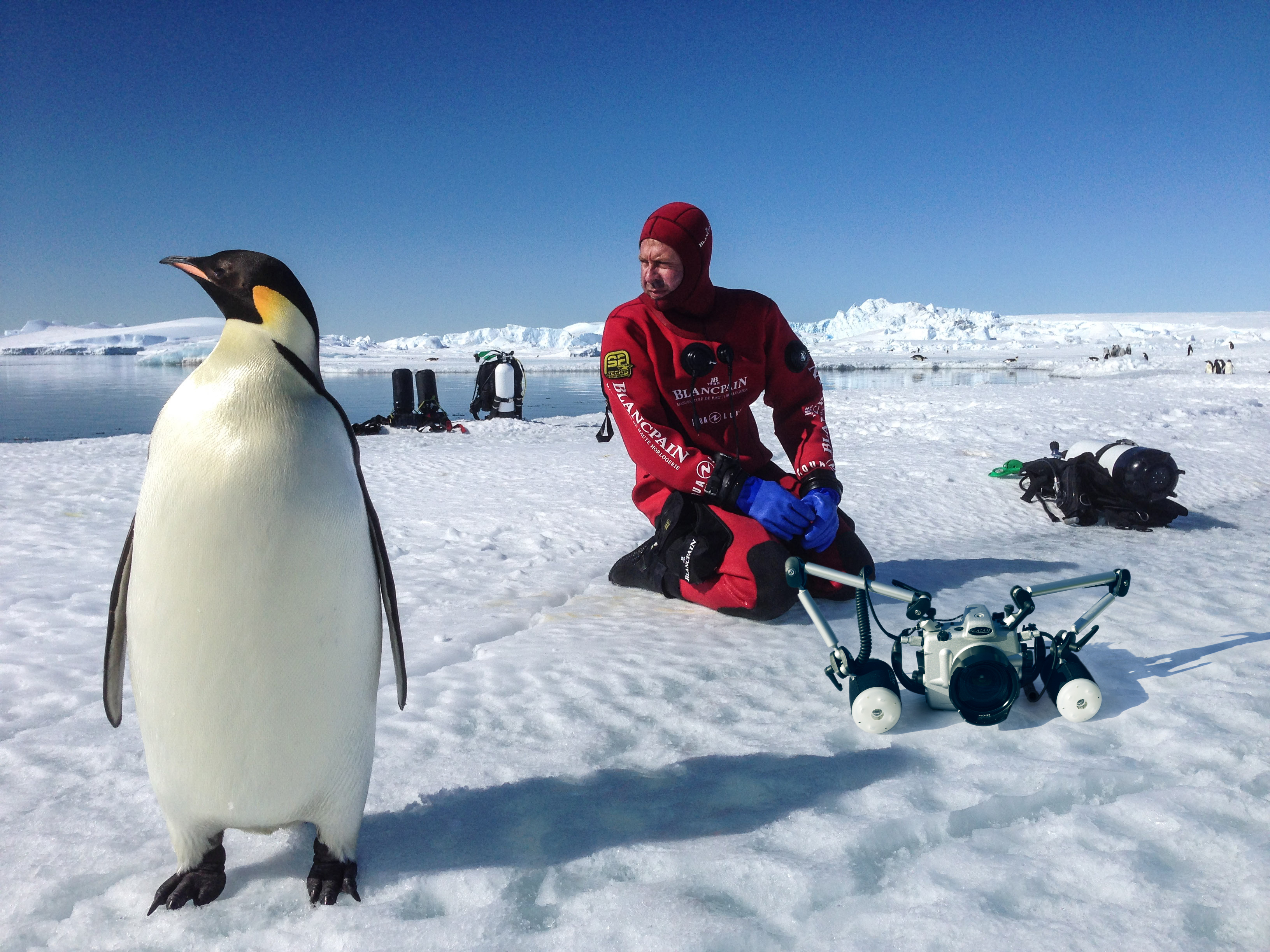 Laurent Ballesta se déplace ces dernières années entre l’Antarctique et la Polynésie pour différents projets d'exploration.