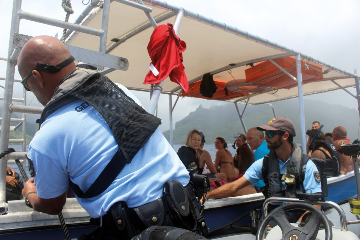 Une journée de contrôle des observateurs de baleines avec la gendarmerie maritime