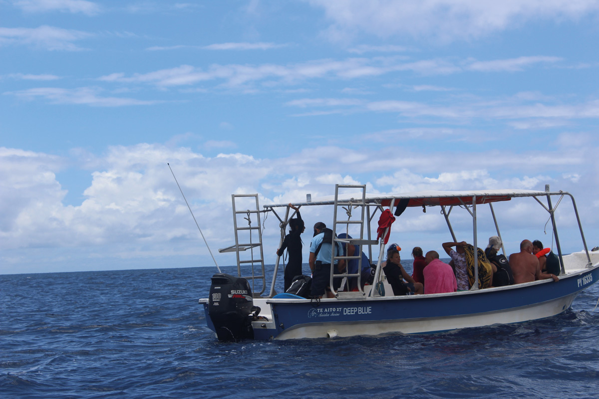 Une journée de contrôle des observateurs de baleines avec la gendarmerie maritime