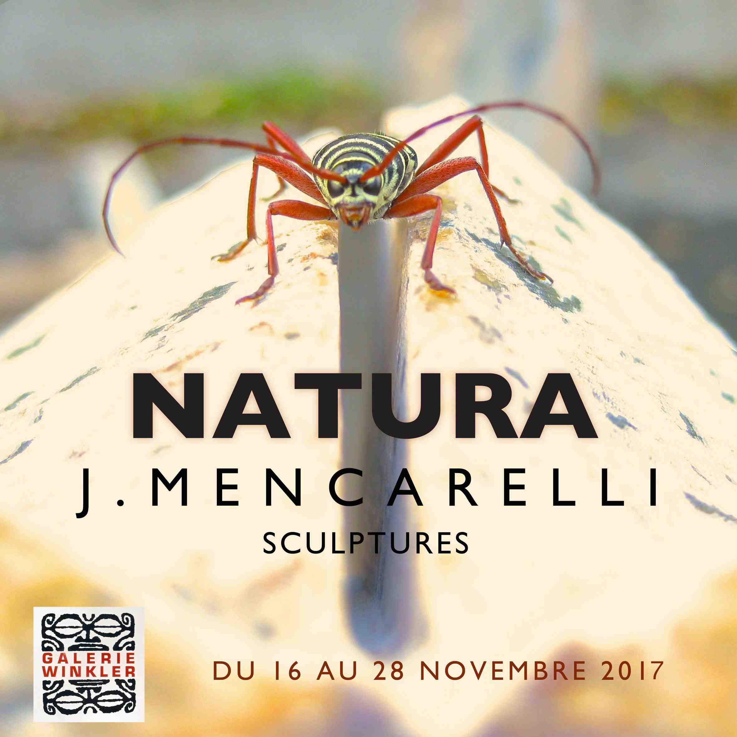  Jonathan Mencarelli ou l'art de graver la nature dans la pierre