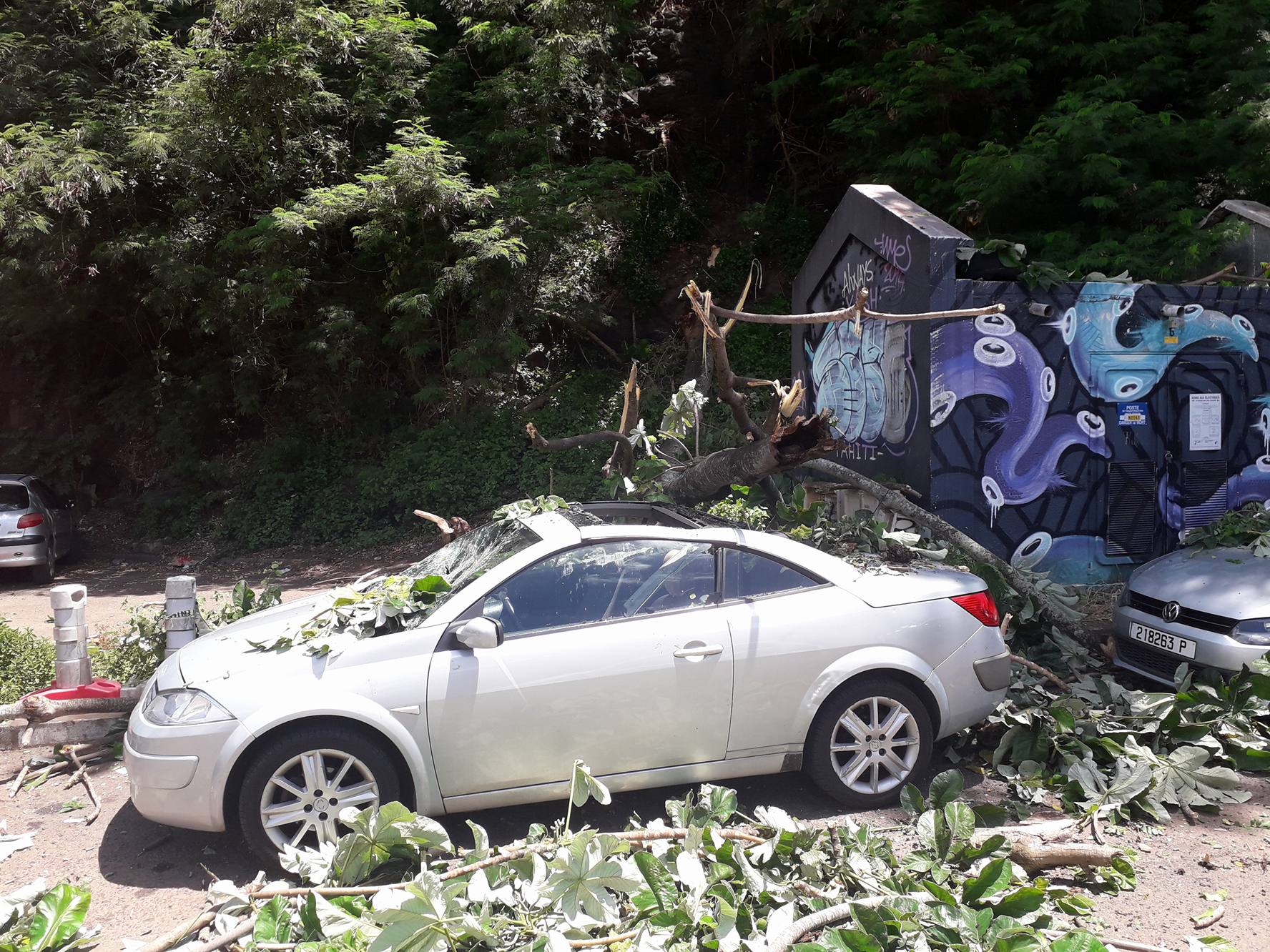 Papeete : un arbre tombe sur une voiture