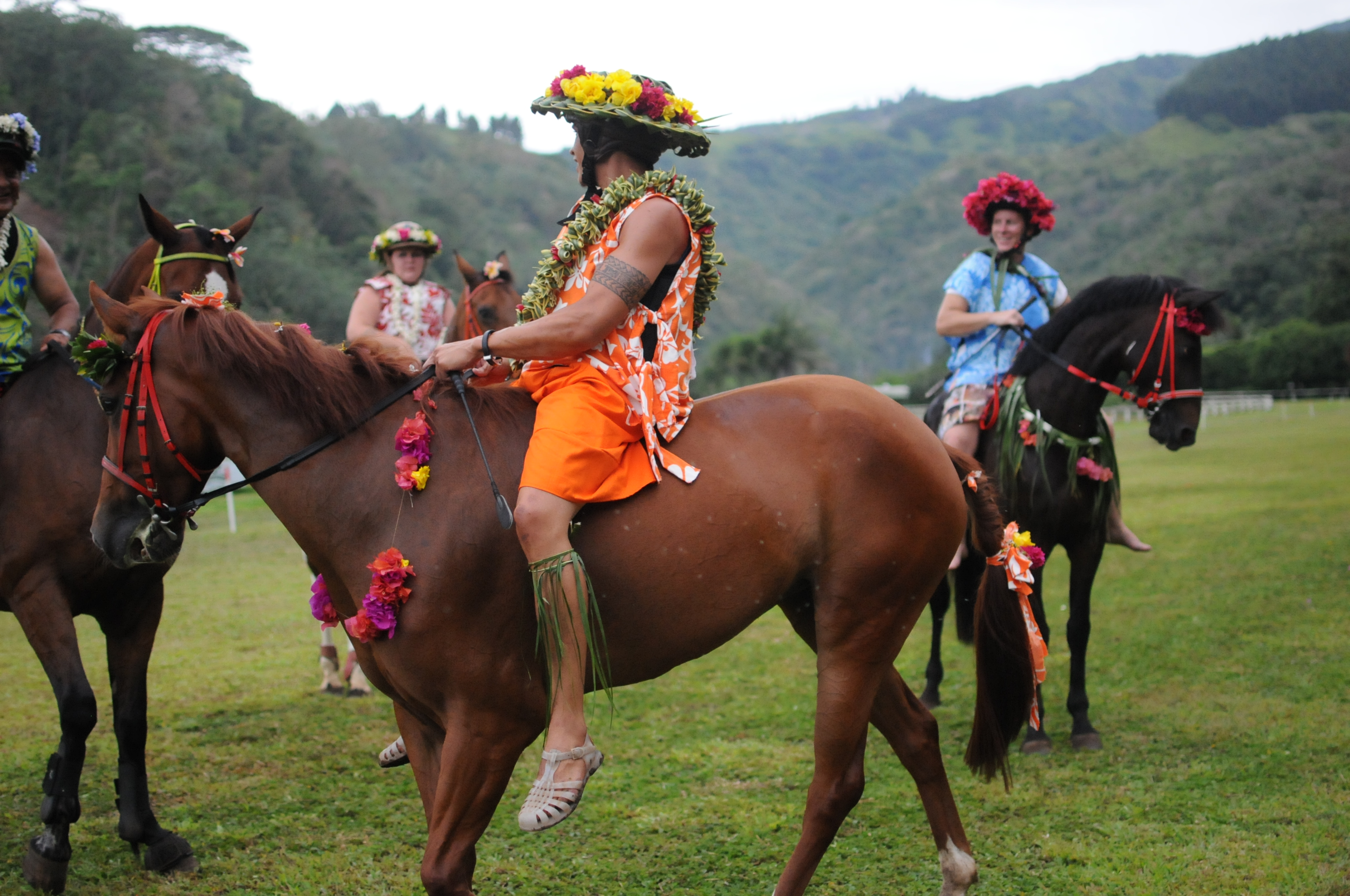 Galop 2 - Fédération polynésienne d'équitation