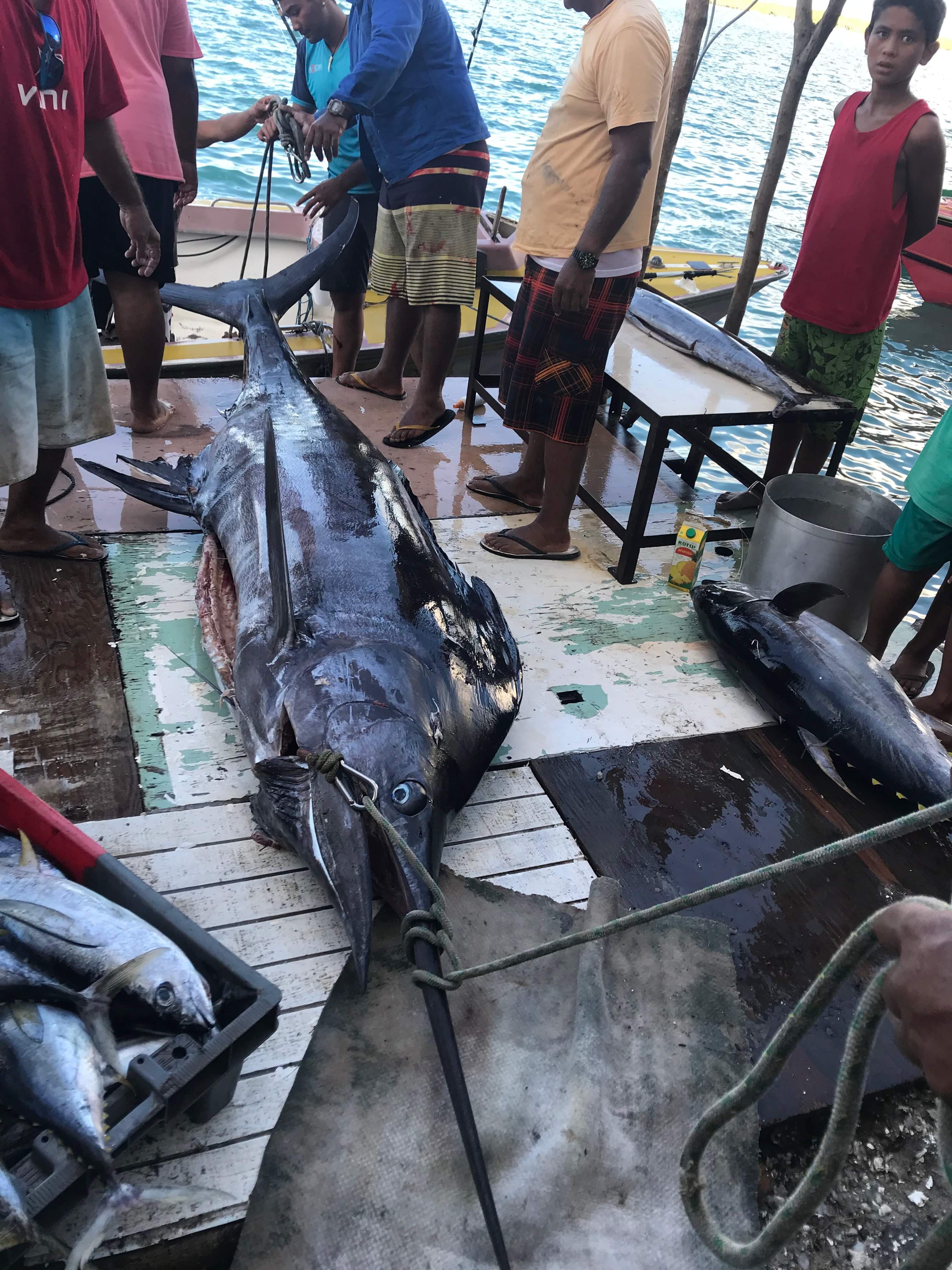 Un espadon de 250 kilos pêché à Maupiti