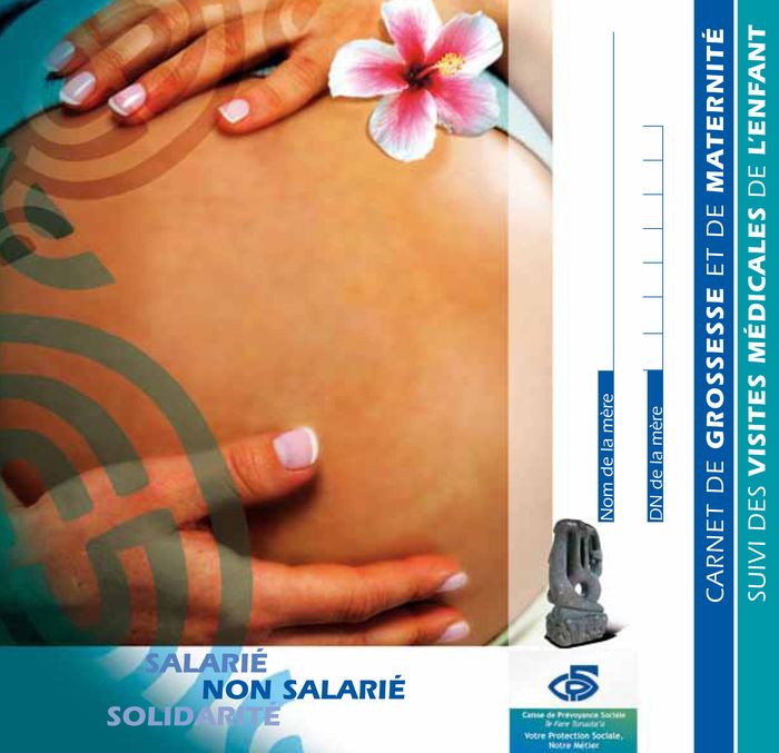 Carnet de Grossesse : Carnet de Santé Maternité