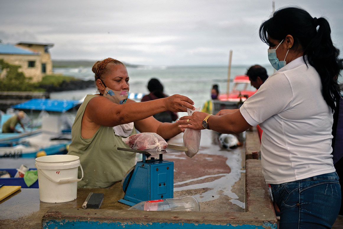 Les femmes des Galapagos, force invisible des champs et de l'océan