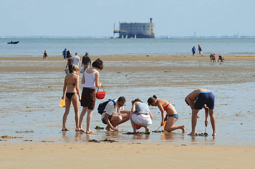 Signe de l'inquiétude grandissante, le port du masque en extérieur redevient obligatoire mardi dans 45 communes touristiques de Charente-Maritime, comme l'Ile de Ré ou La Rochelle.