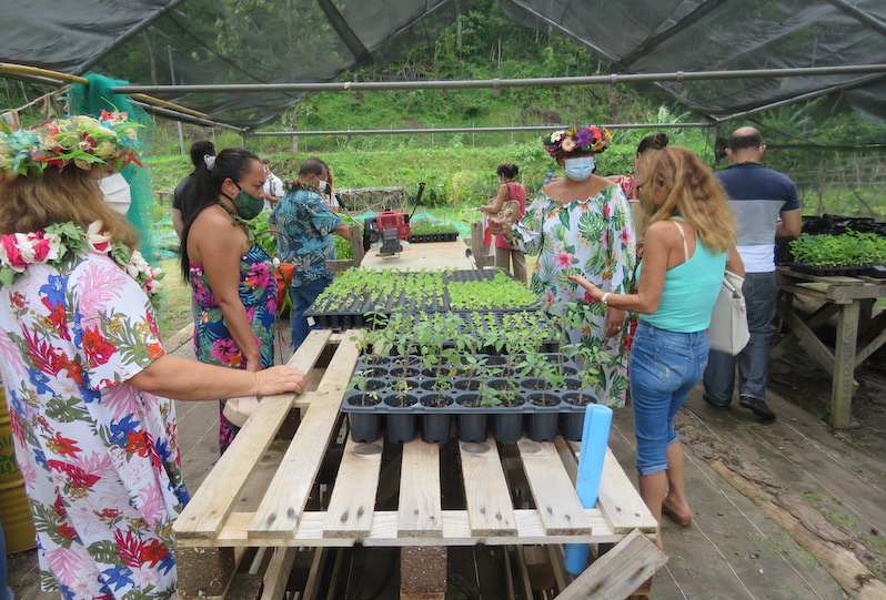 Ecole en santé : Moorea inspire Punaauia