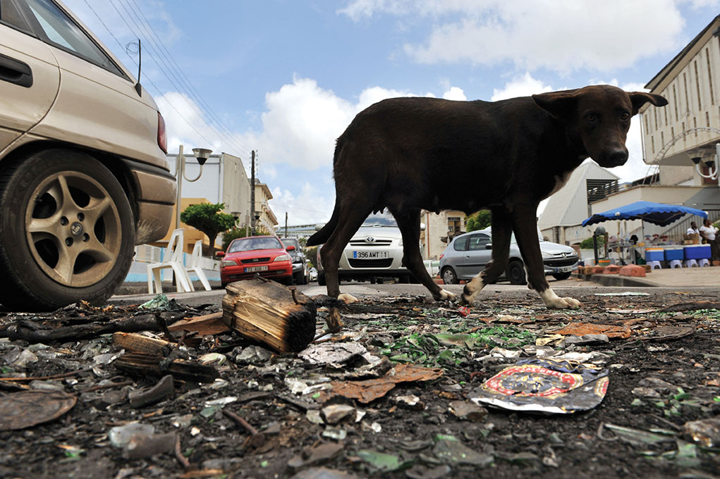 LIONEL BONAVENTURE / AFP