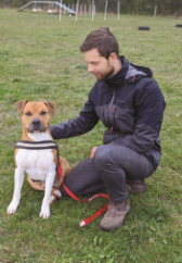 Fabio Salmistraro, au service de la cause animale