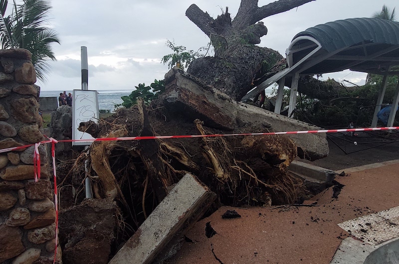 Un arbre s'effondre sur trois voitures à Paea