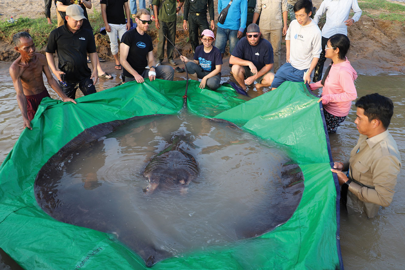 Handout / Wonders of the Mekong / AFP