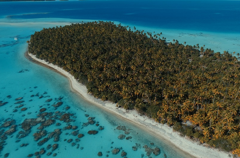 L'éradication inouïe du rat à Tetiaroa