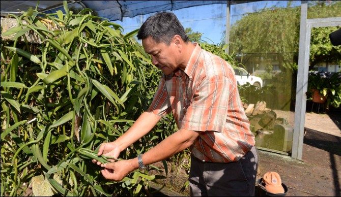 Rencontre avec des producteurs maraîchers et fruitiers : valoriser la production locale