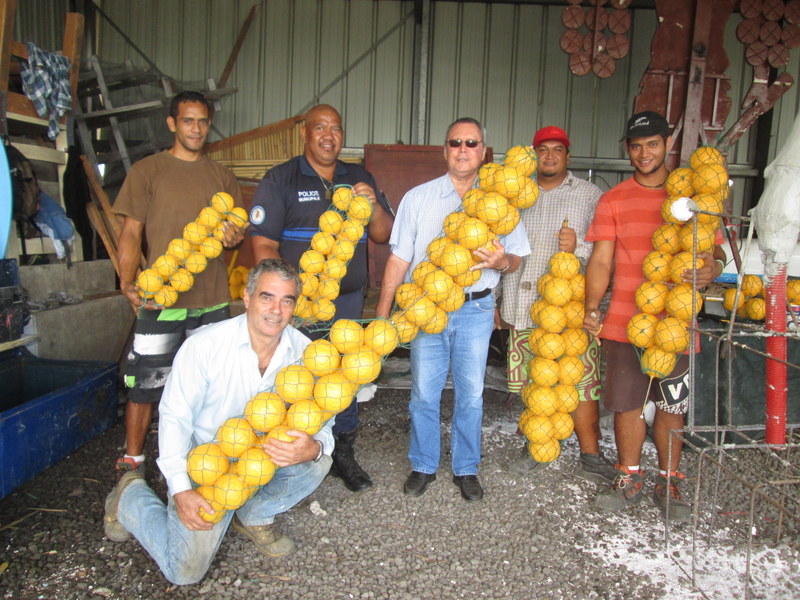 Punaauia : Les porteurs d’oranges à l’honneur