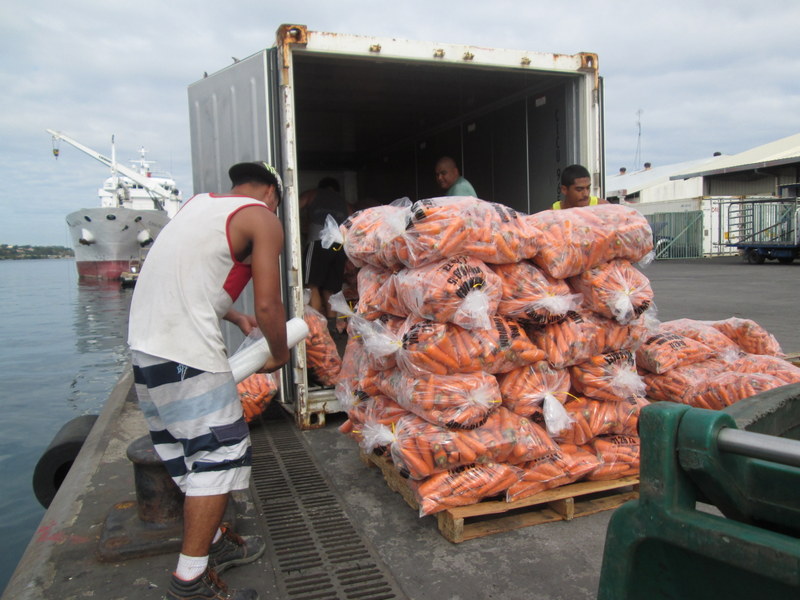 1er arrivage de carottes à Motu uta : 35 tonnes sur 600 prévues dans les bacs