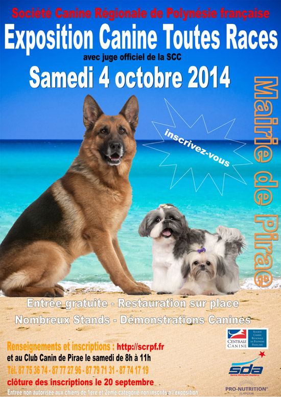 Concours Du Plus Beau Chien De Polynésie Le 4 Octobre