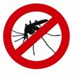 Faa'a: Précautions épidémie de Chikungunya 