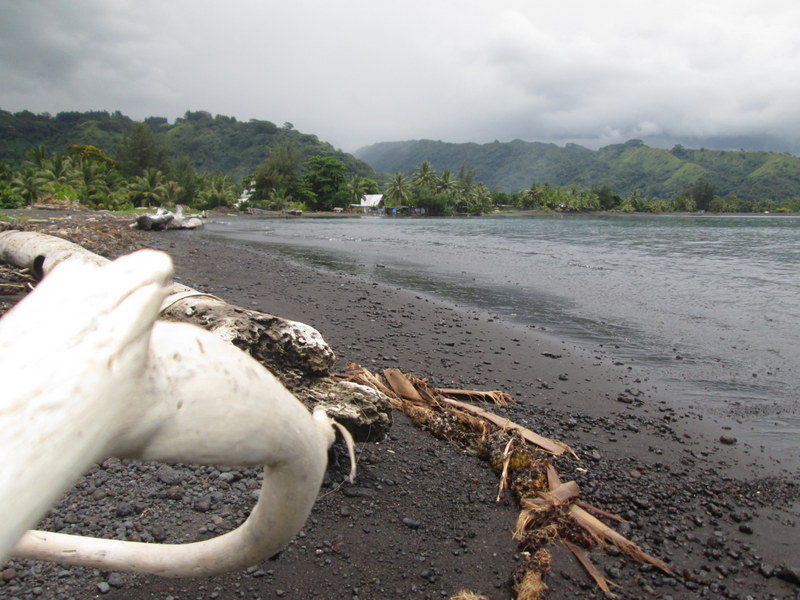 La plage de 'Oututa'ihia de Mataiea est désormais surveillée.