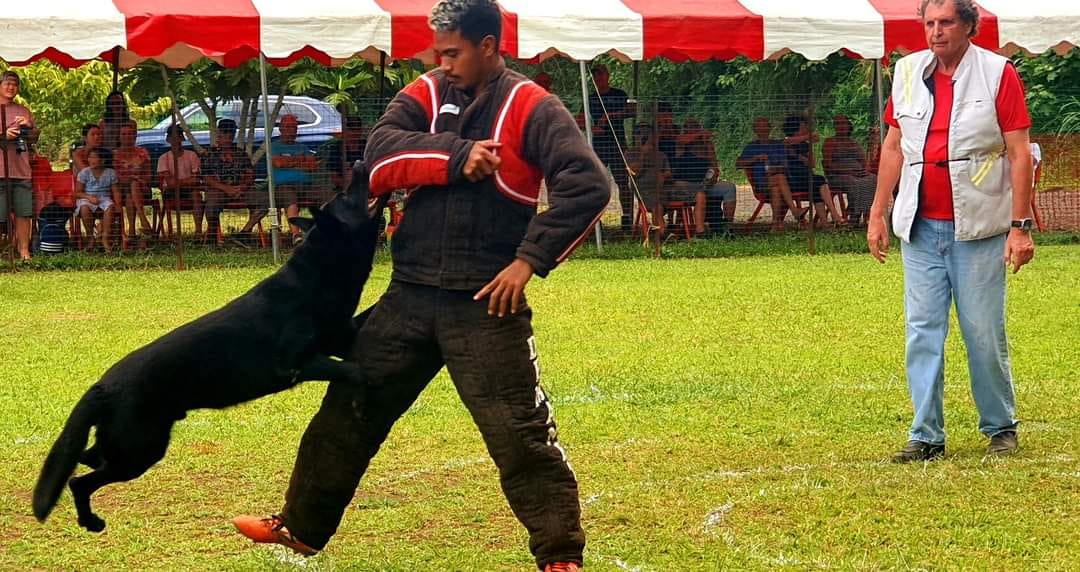 Ruarii Mataoa premier Polynésien et le seul de tout le Pacifique à avoir le niveau 2 en tant qu’homme assistant c’est-à-dire dresseur de chien à la discipline du mordant ©Club sportif canin de Teva i uta