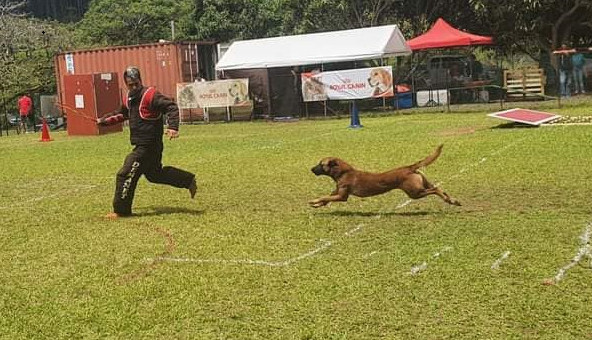 Ruarii Mataoa "ll faut vouloir et surtout se donner  les moyens d’y arriver” ©Club sportif canin de Teva i uta