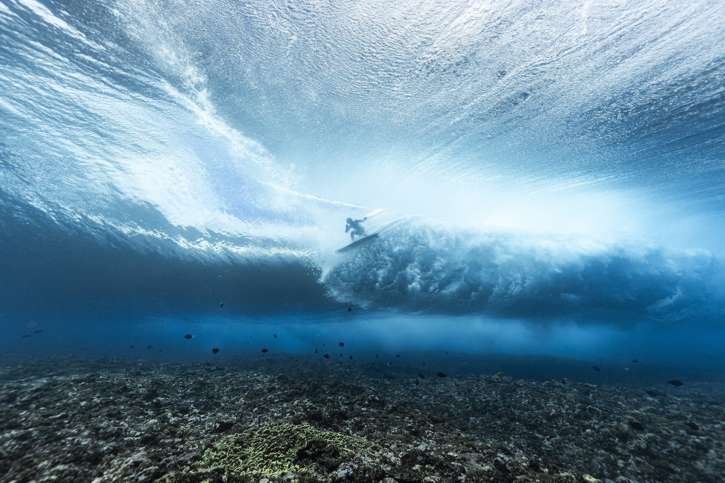 La vice-championne olympique “Tati West” capturée par Ben Thouard dans un tube baigné de lumière et entouré de poissons (Crédit : AFP/Ben Thouard).