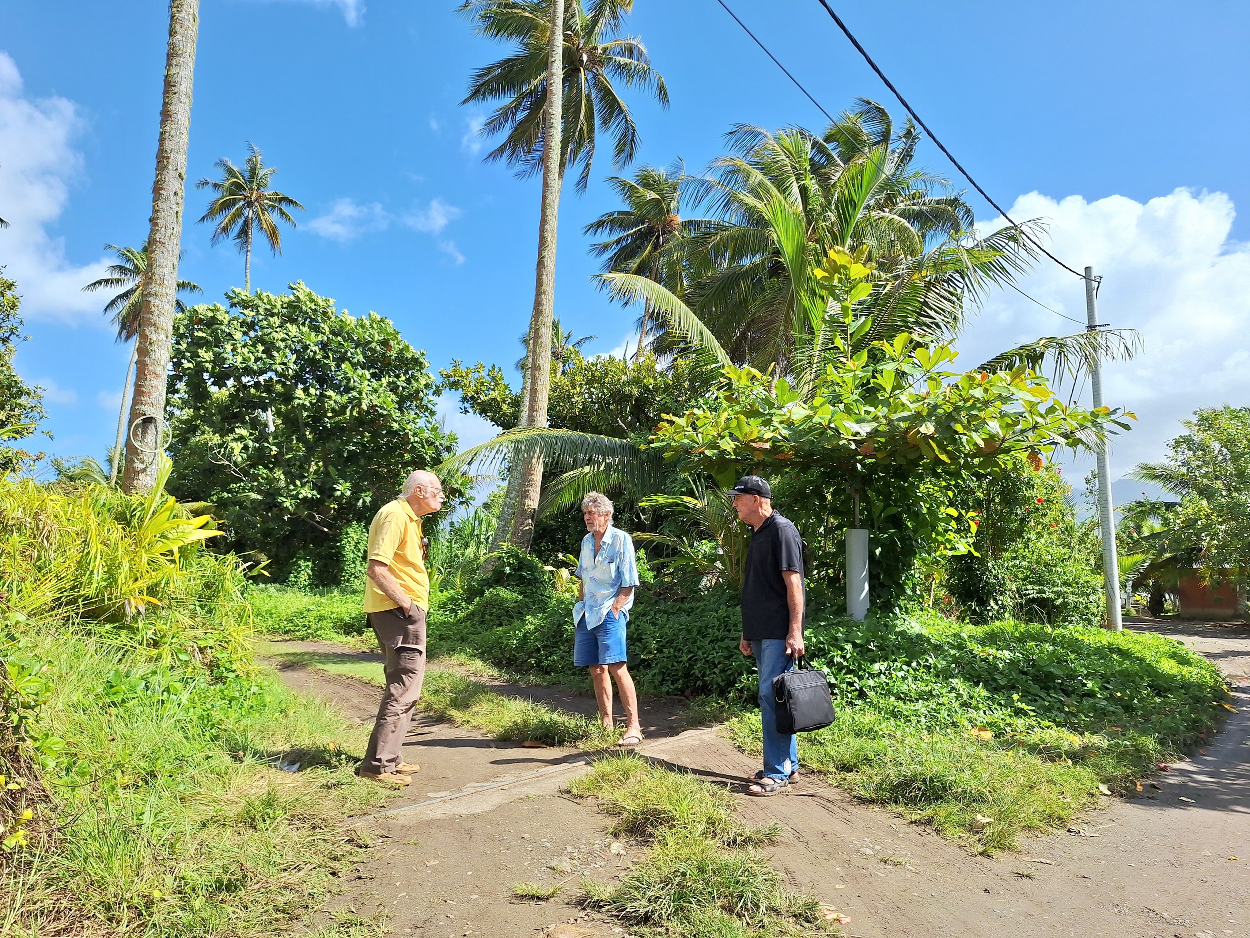 Le terrain concerné par ce projet hôtelier, sur la pointe Poriro, à Toahotu (Crédit : Anne-Charlotte Lehartel).