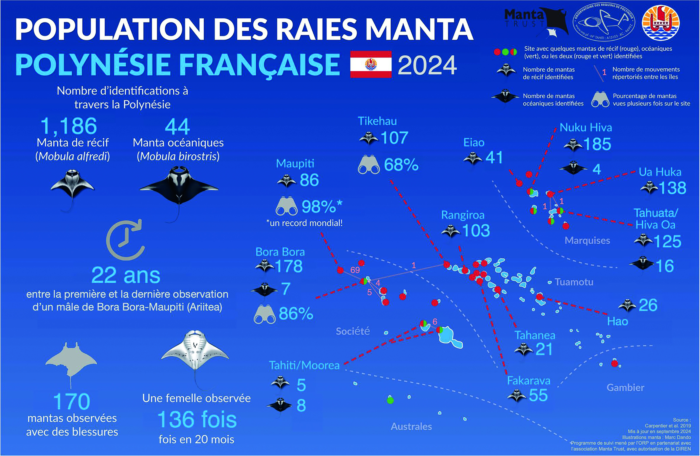 ​La raie manta à l’honneur