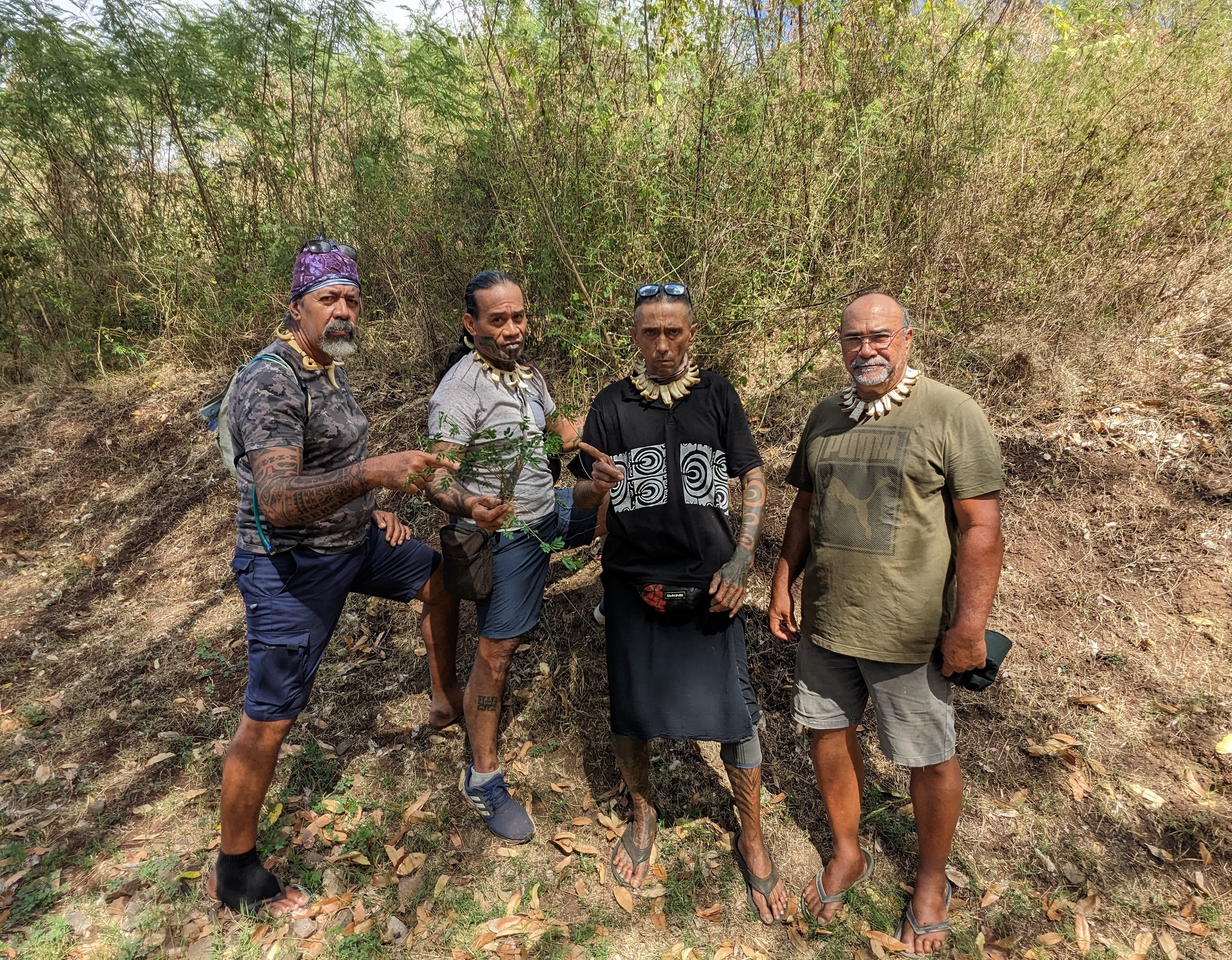 La sensitive géante inquiète à Nuku Hiva