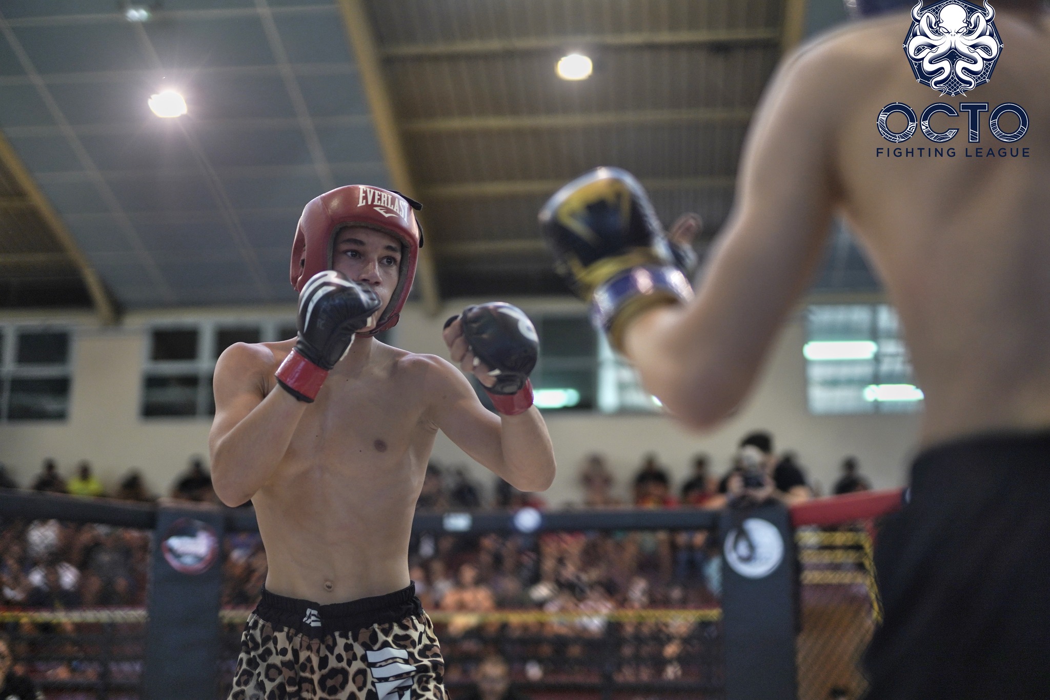 Mateo Pina grand espoir du MMA polynésien